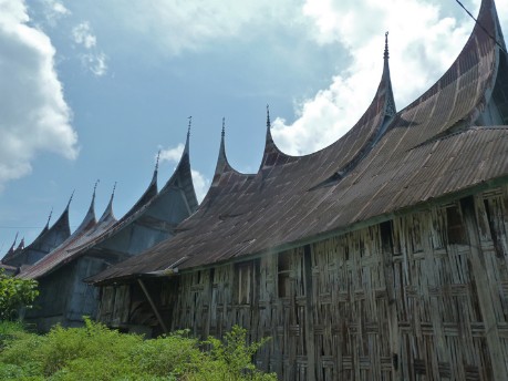 Minang Kabau