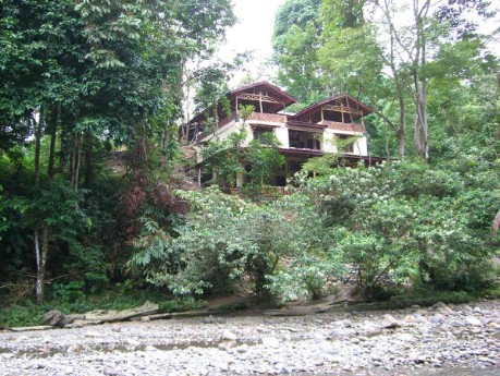Fluss bei Tangkahan Fluss